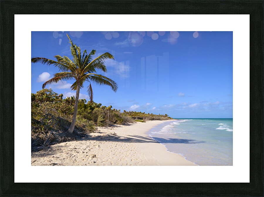Cayo Coco Cuba beach Picture Frame print
