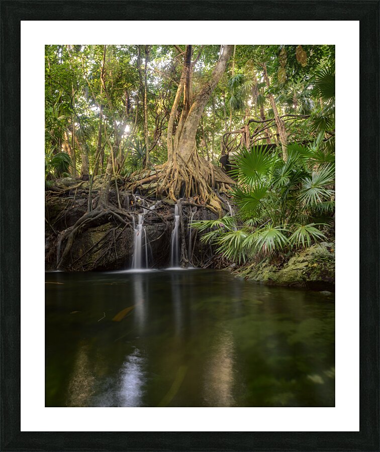jungle tree waterfall Picture Frame print