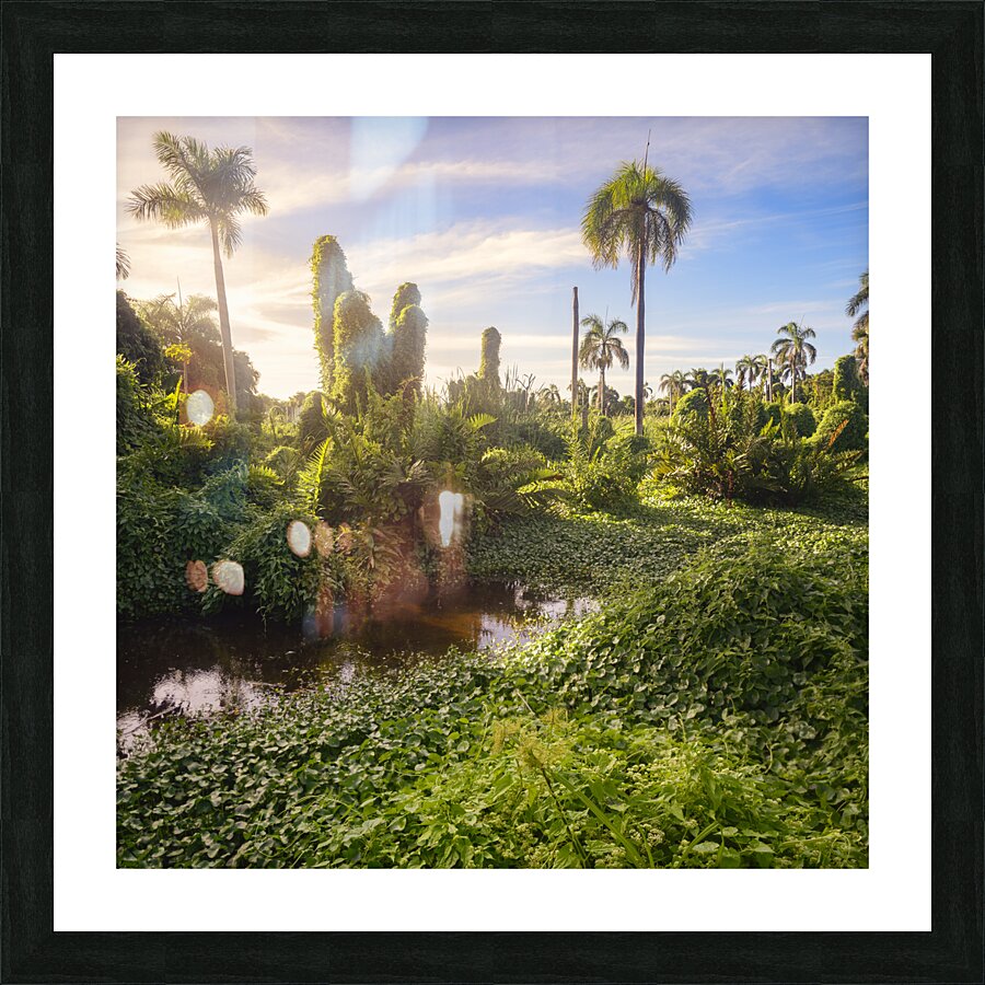 Jungle Garden Dominican Picture Frame print