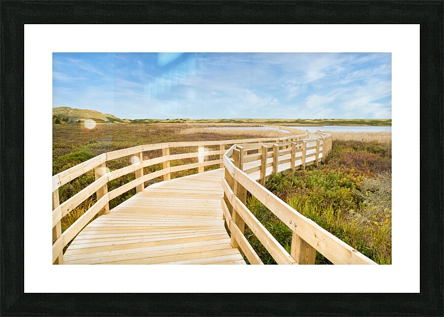 Greenwich boardwalk trail Picture Frame print