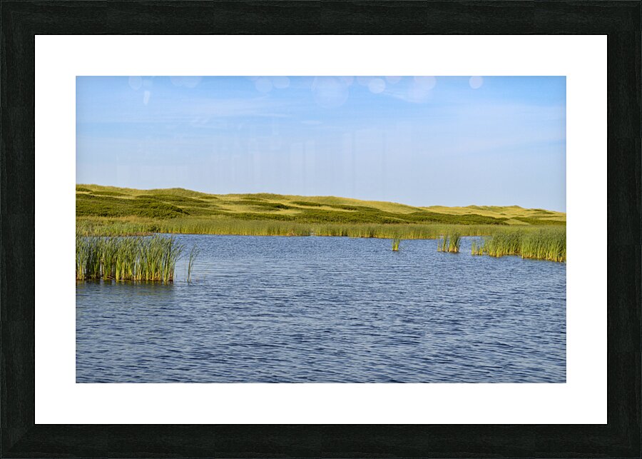 Greenwich grass dune on sky background Picture Frame print