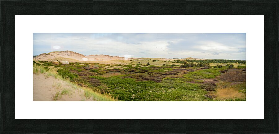 Greenwich dunes and wetlands Picture Frame print