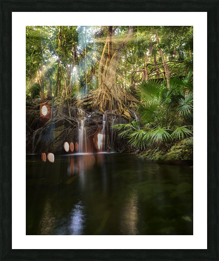 Jungle tree waterfall sunrays Picture Frame print