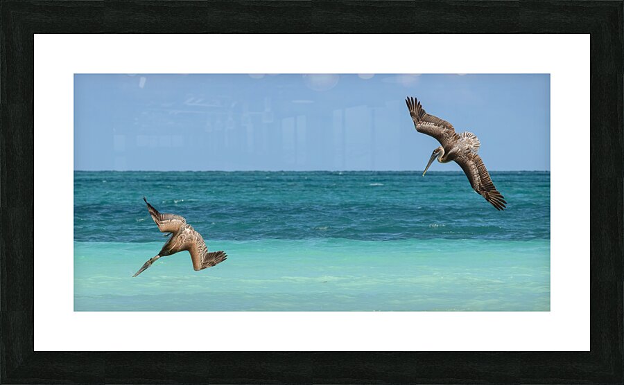 Pelican Cuban 4 Cuba Picture Frame print