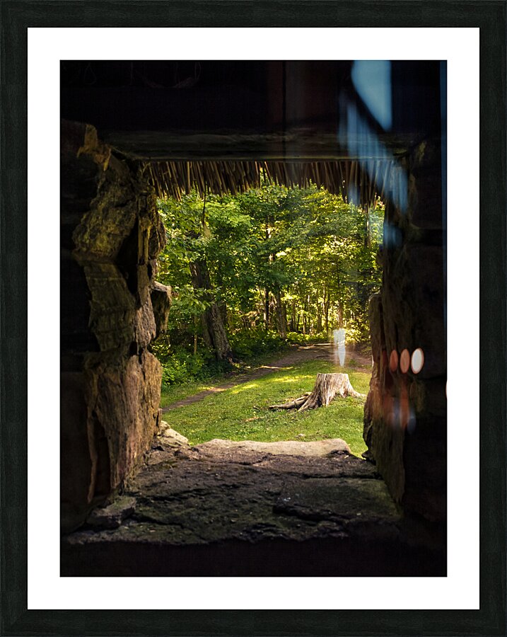 Cuban Pelican flying with blue sky Picture Frame print