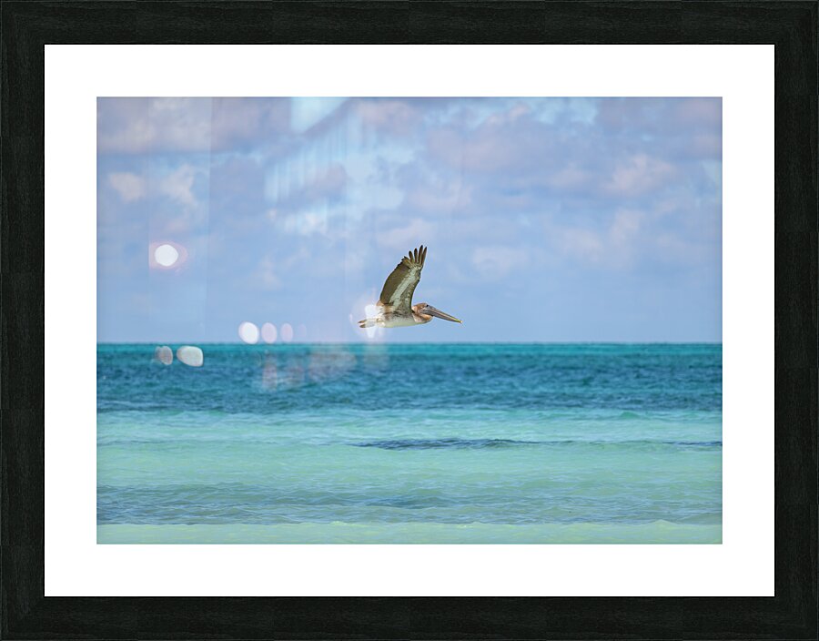 Pelican Cuban 12 Cuba Picture Frame print