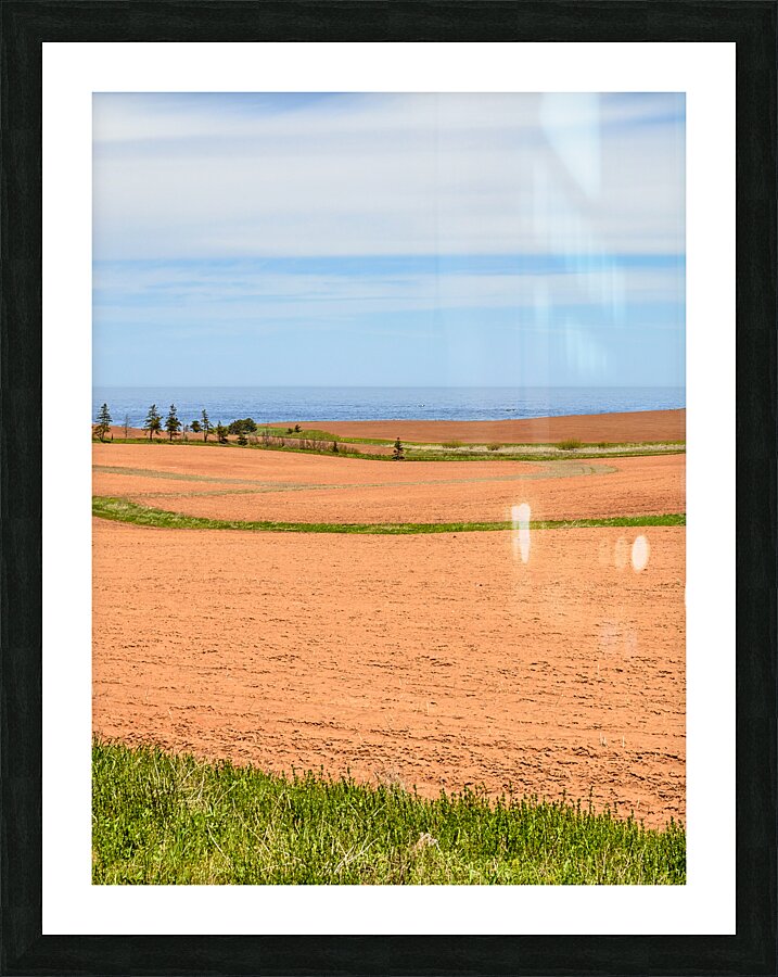 PEI red sand farm fields Picture Frame print