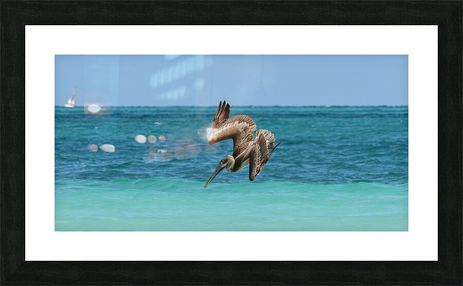 Pelican Cuban 5  Cuba Picture Frame print