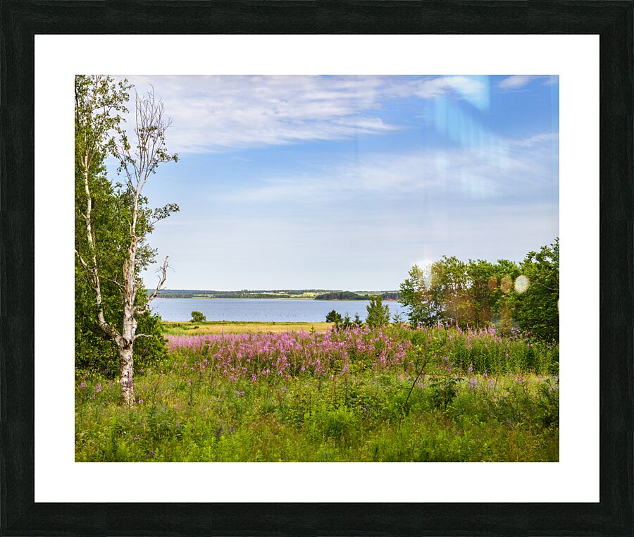 Prince Edward Island field view with ocean Picture Frame print
