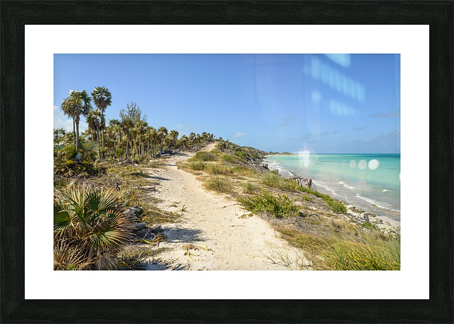 Walk on Cuban Dunes Ocean Picture Frame print