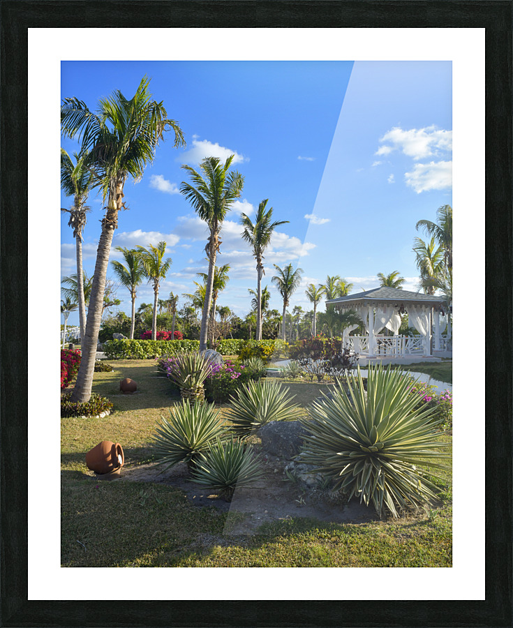 Cuban resort tropical garden Picture Frame print