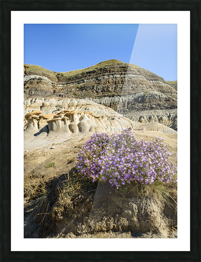 Hoodoos rocks with purple flowers Picture Frame print