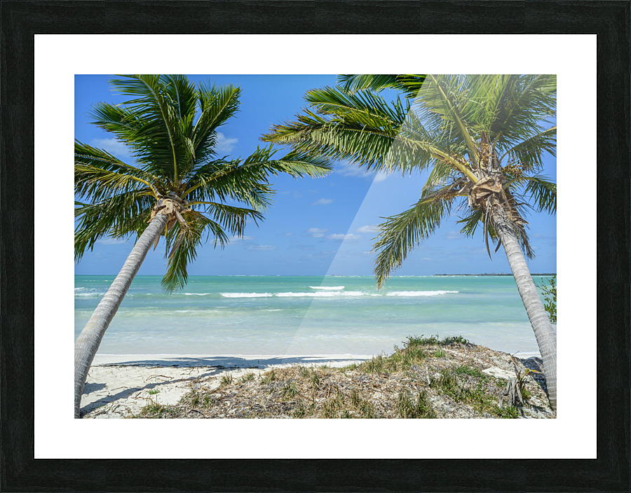 Cuban beach with 2 palmtrees Picture Frame print
