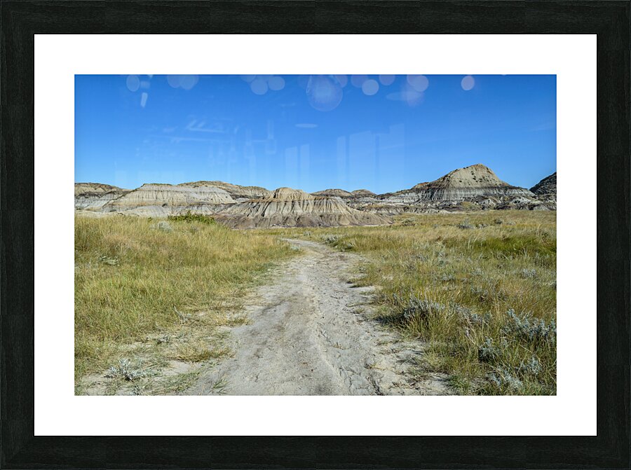 horseshoe canyon path 1540 Picture Frame print
