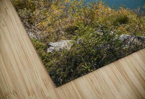 Bow River Banff mountains 2-4 Justin Richard Batten puzzle