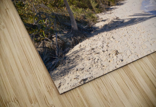 Cayo Coco Cuba beach Justin Richard Batten puzzle