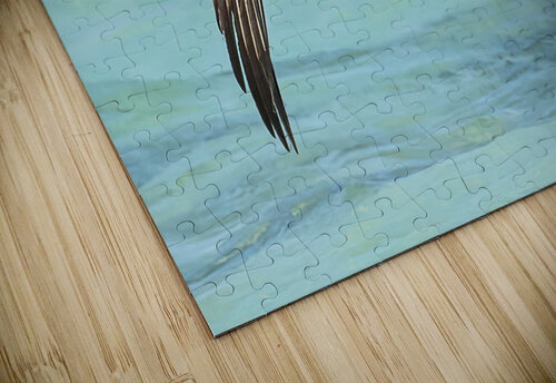 Pelican Cuban 11 Justin Richard Batten puzzle