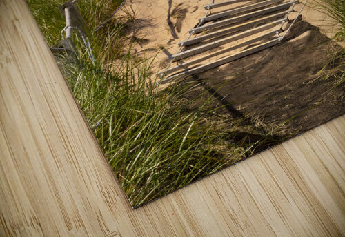 Pathway over the dunes to the beach. Justin Richard Batten puzzle