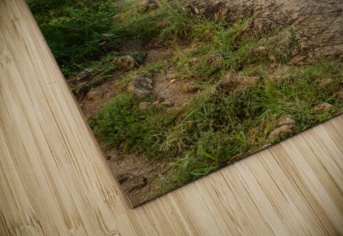 Prom Thep Ya-nui beach lookout point Justin Richard Batten puzzle