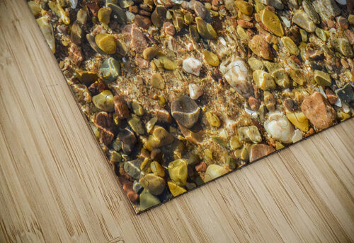 Wading toes in the ocean water Justin Richard Batten puzzle