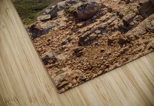 Skyline trail lookout Justin Richard Batten puzzle