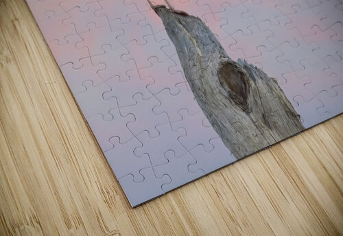 Seagull beautiful sky Justin Richard Batten puzzle