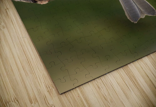 Small cuban bird branch 2 Justin Richard Batten puzzle