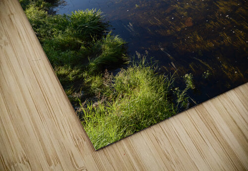 Mount Katahdin campsite Nesowadnehunk river 2 Justin Richard Batten puzzle