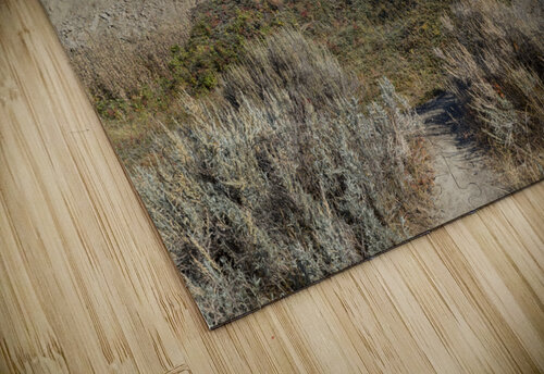 horseshoe canyon 2456 Justin Richard Batten puzzle