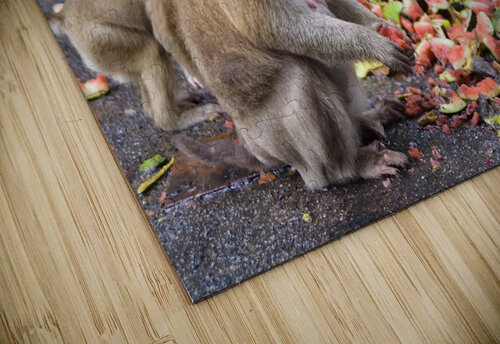 thai monkeys eating watermelon Justin Richard Batten puzzle