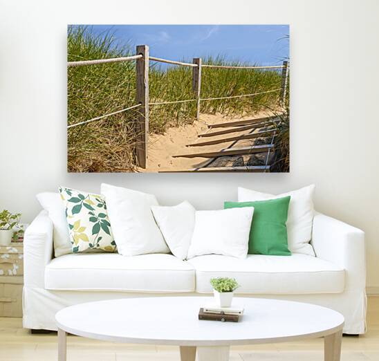 Path Almost at the beach Reproduction