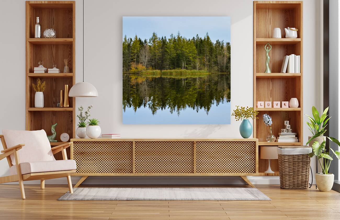 Bird sanctuary pond reflection Reproduction