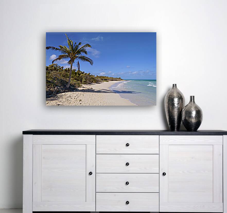 Cayo Coco Cuba beach Reproduction