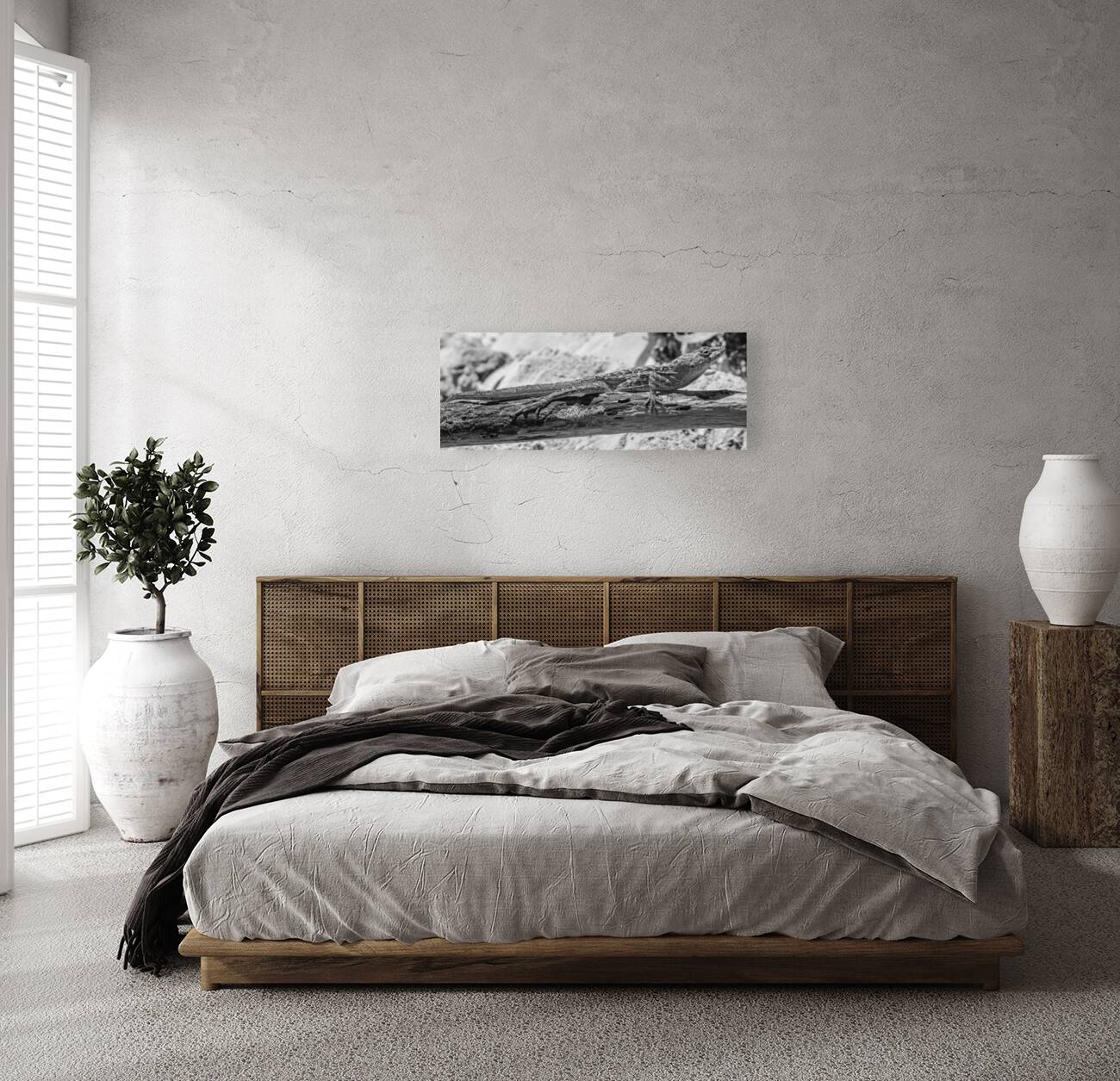 Cuban brown anole in black and white Reproduction