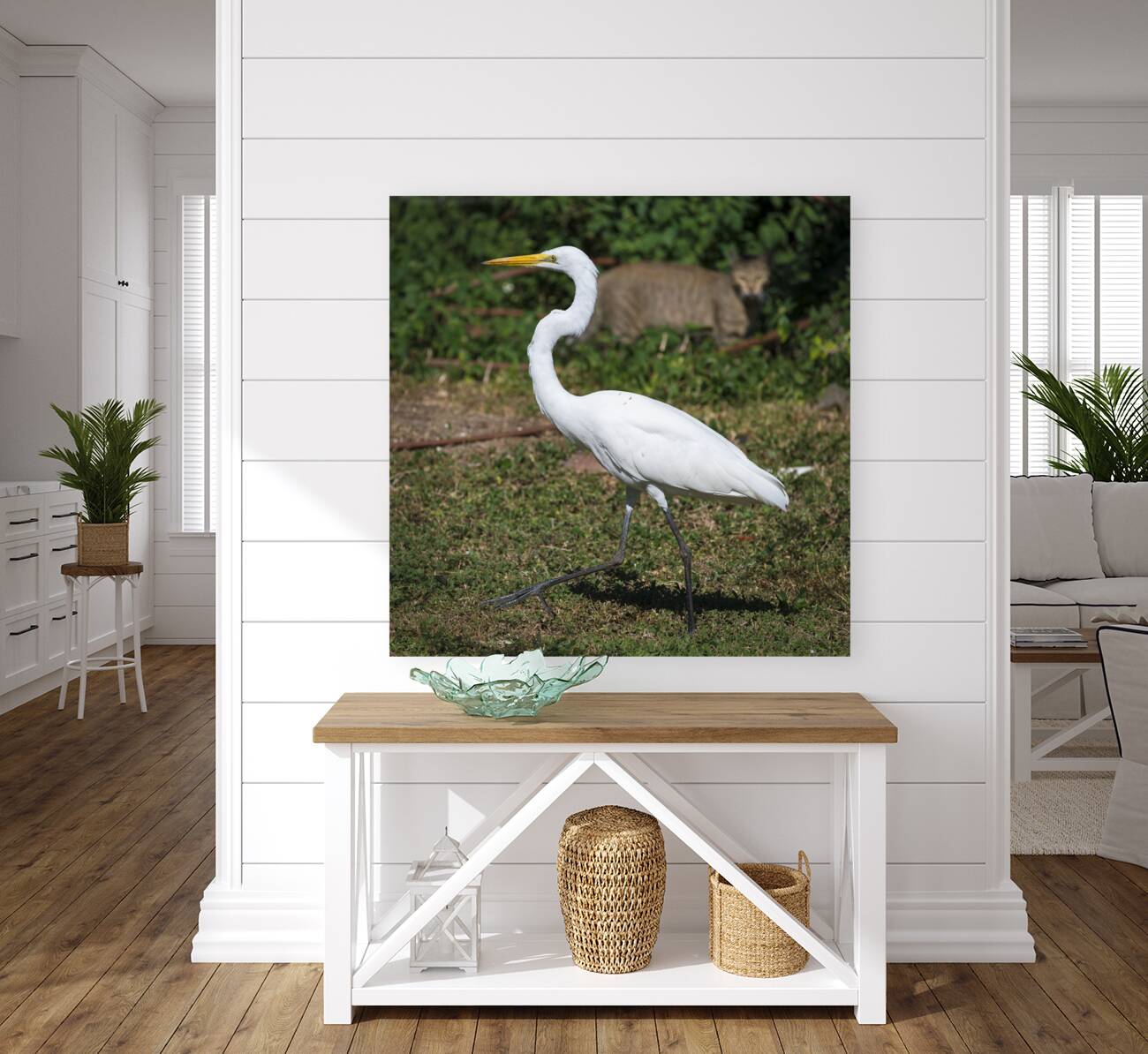 Great white Heron in Cuba Reproduction