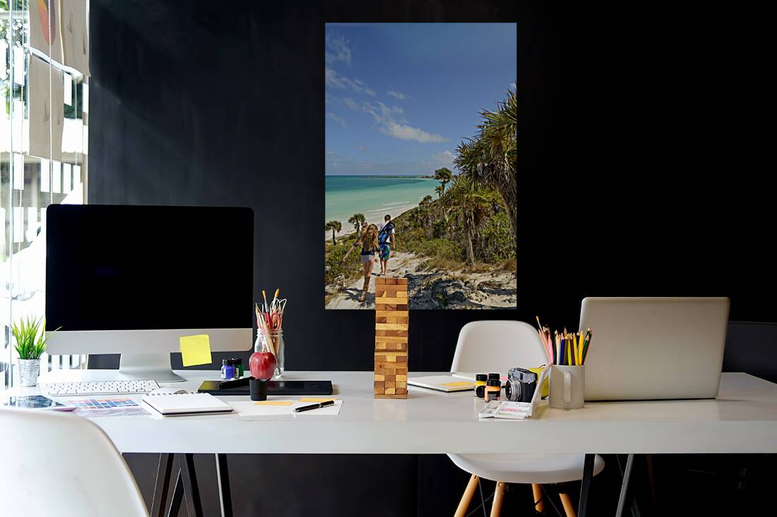 sand dune walk next to aqua ocean Reproduction