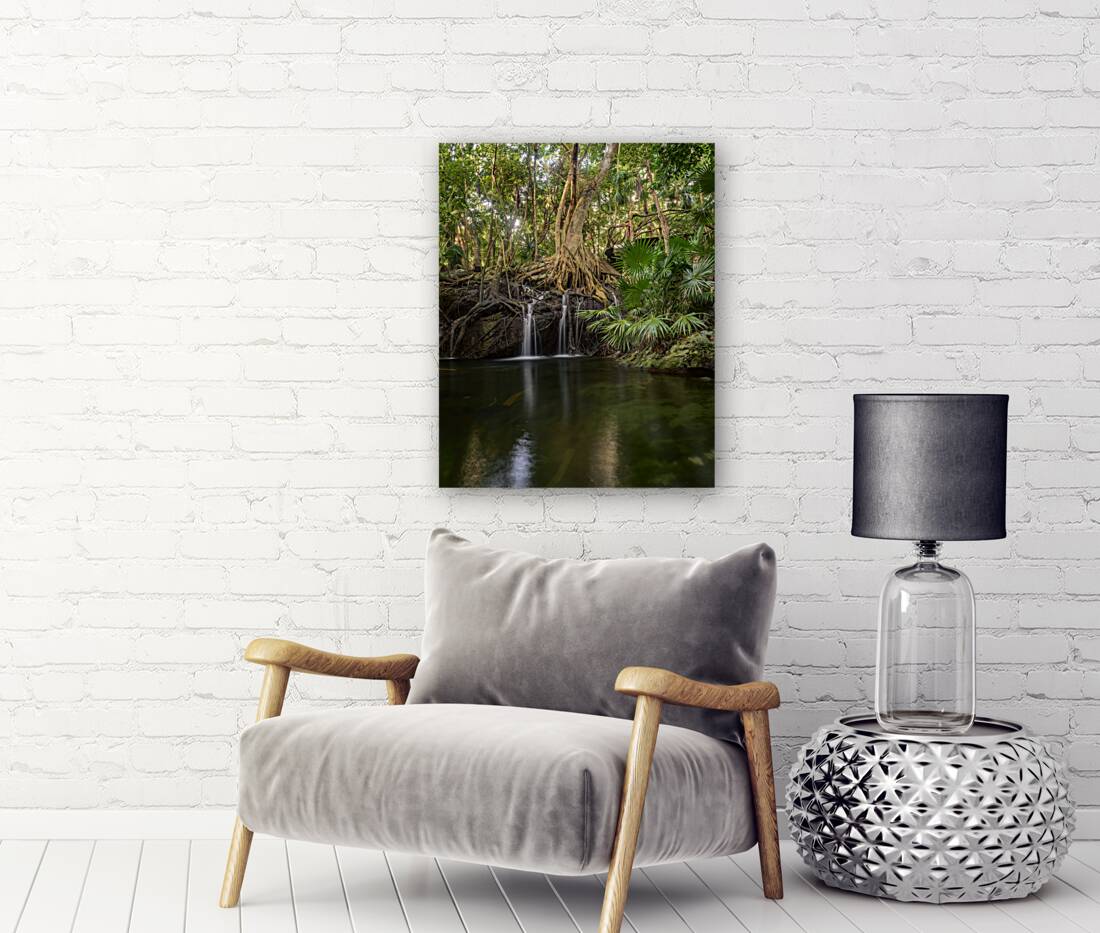 jungle tree waterfall Reproduction