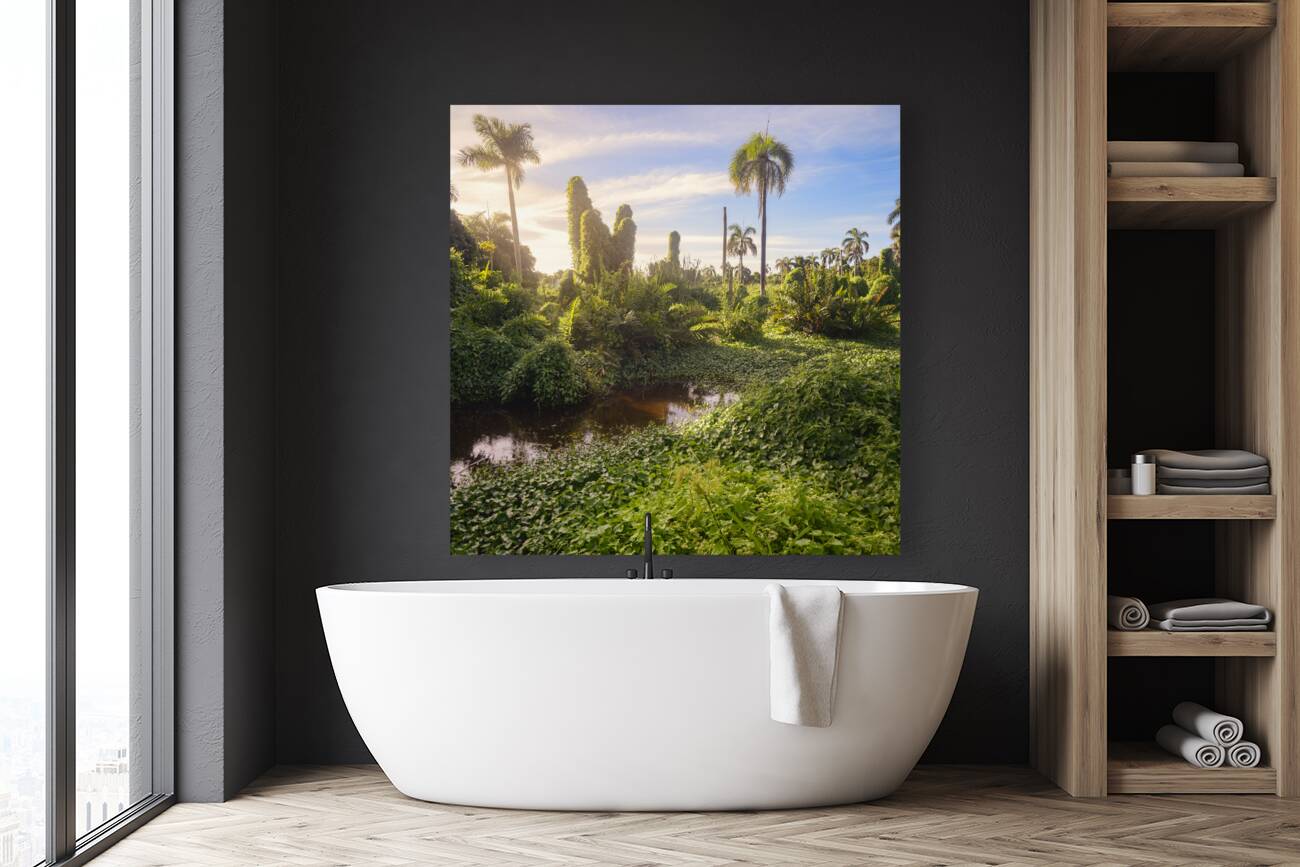 Jungle Garden Dominican Reproduction