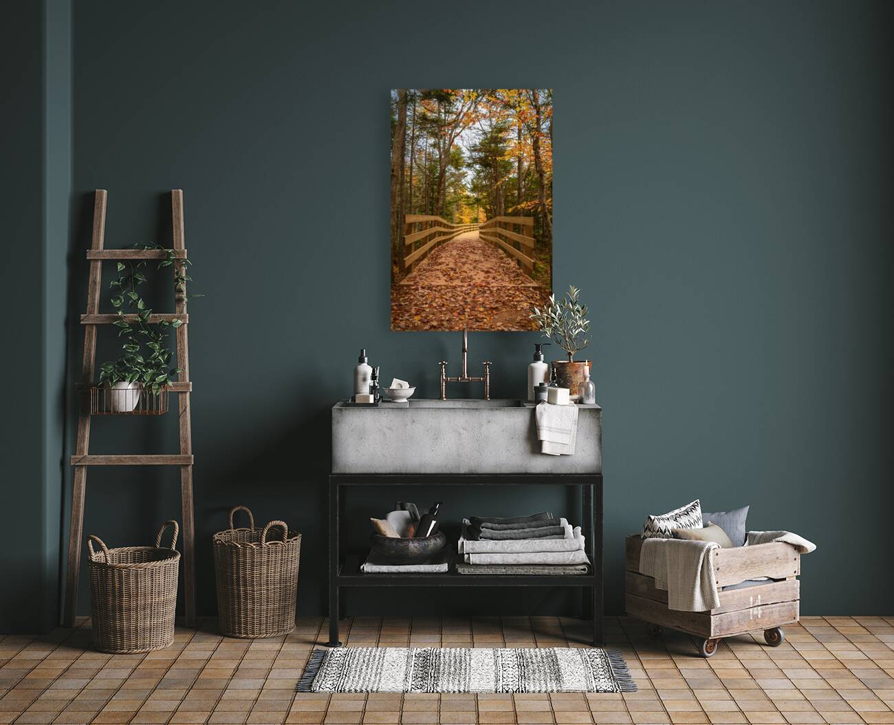 fall colours boardwalk trail Reproduction