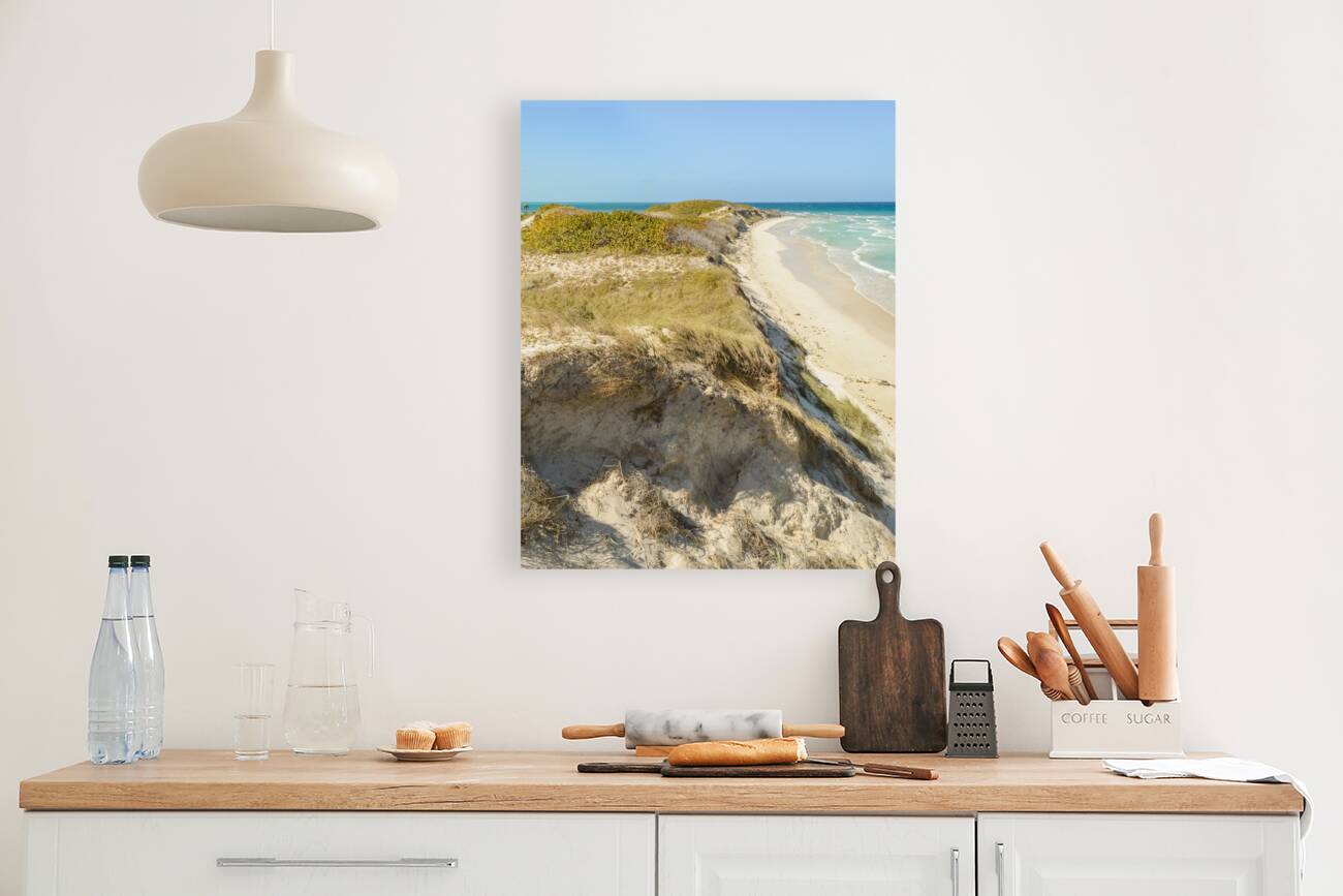 Cayo Coco Cuban Dune Reproduction