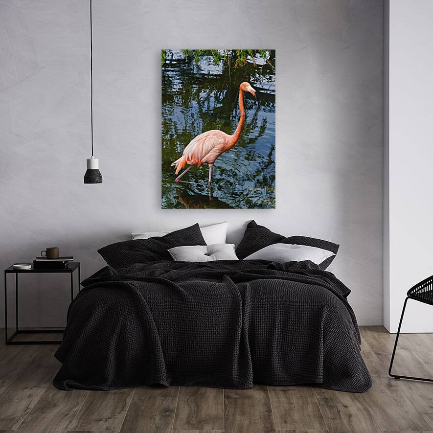 Pink flamingo in pond Reproduction