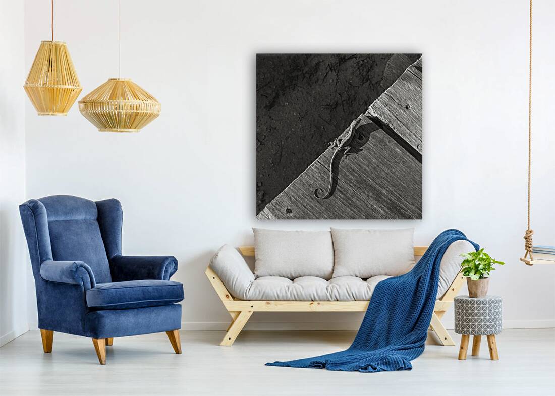 Gecko Anole on boardwalk in BW Reproduction