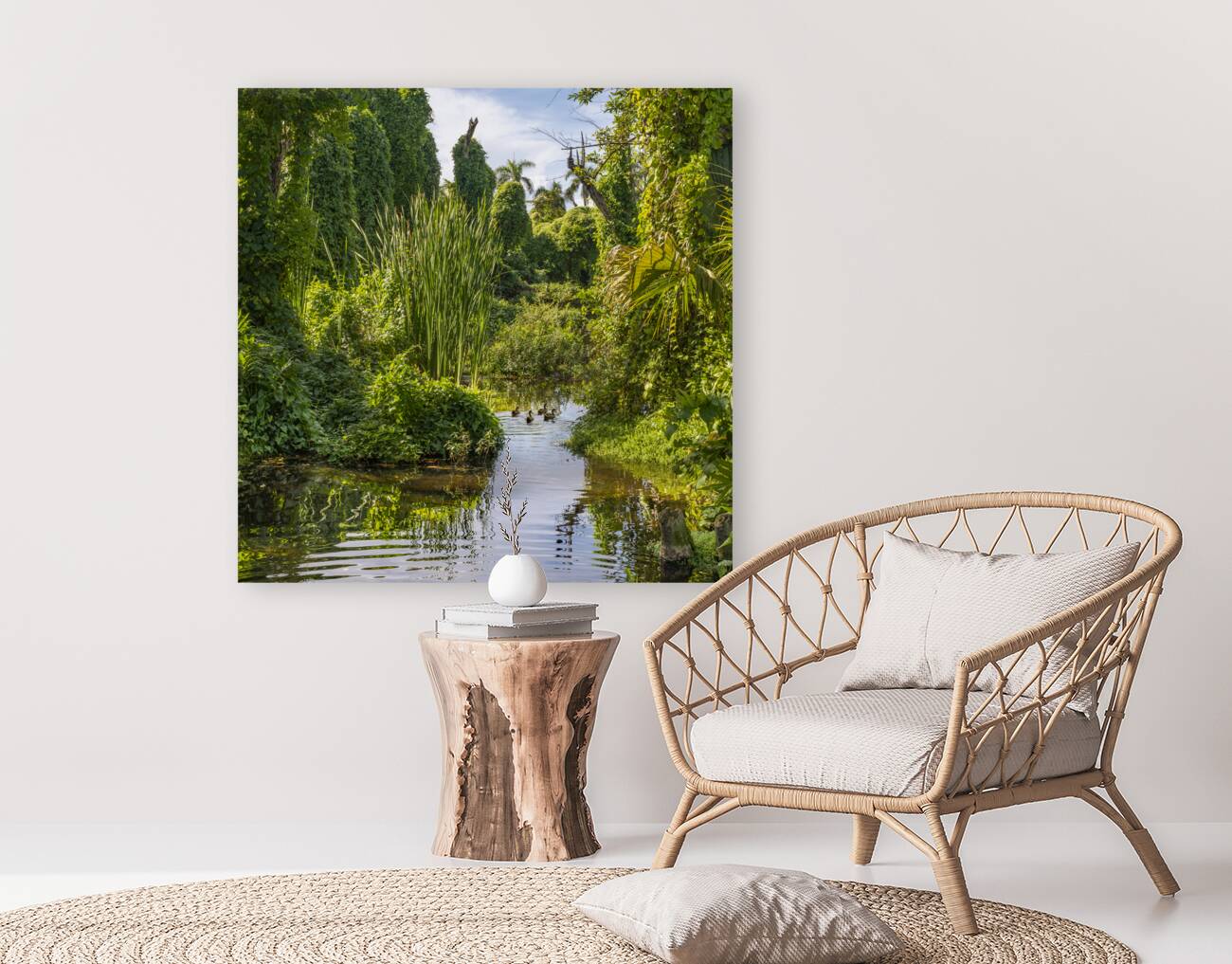 Ducks in a jungle pond Reproduction