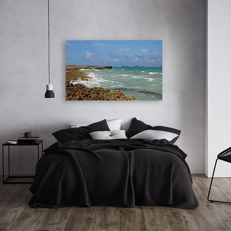 Cuban coral shore ocean view Reproduction