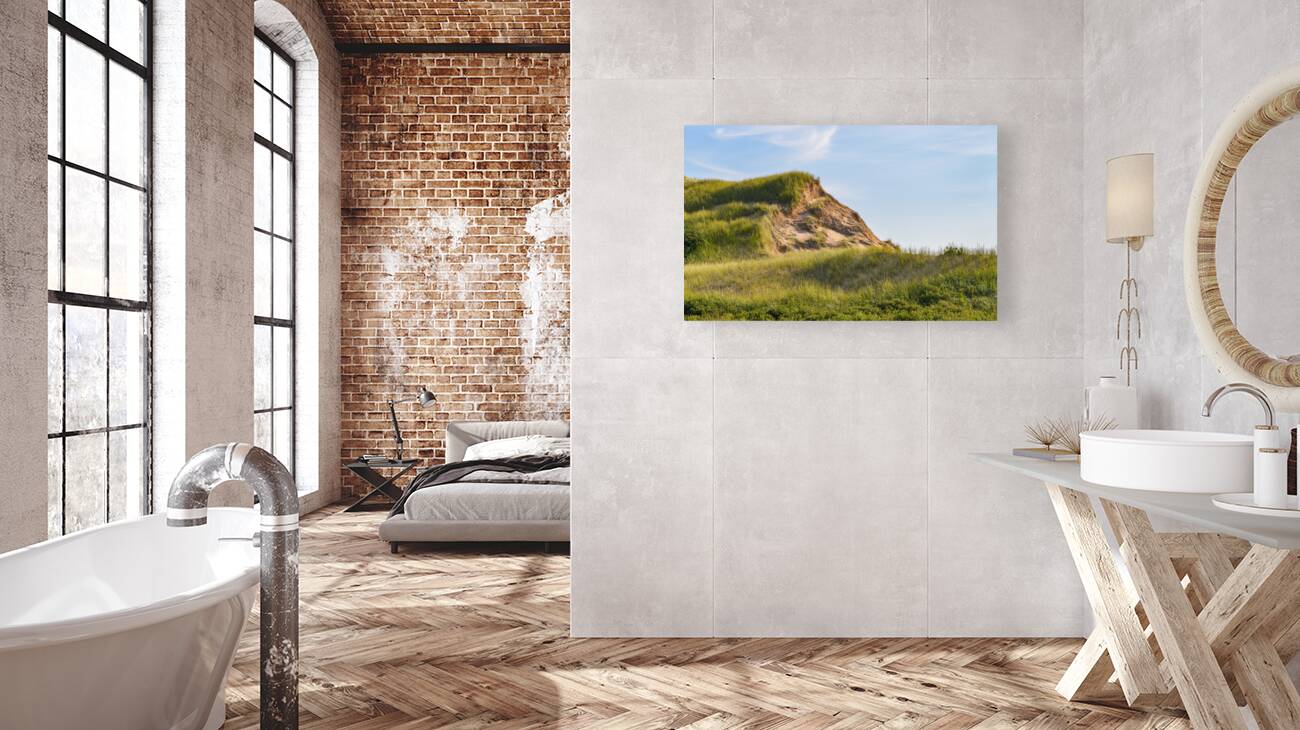 Greenwich grass dune on sky background Reproduction