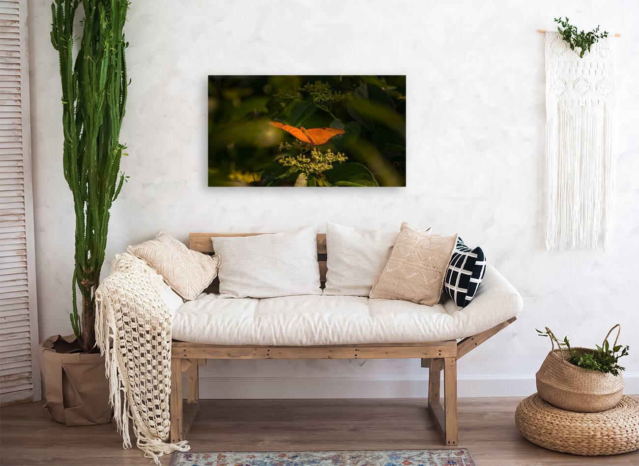 orange butterfly Reproduction