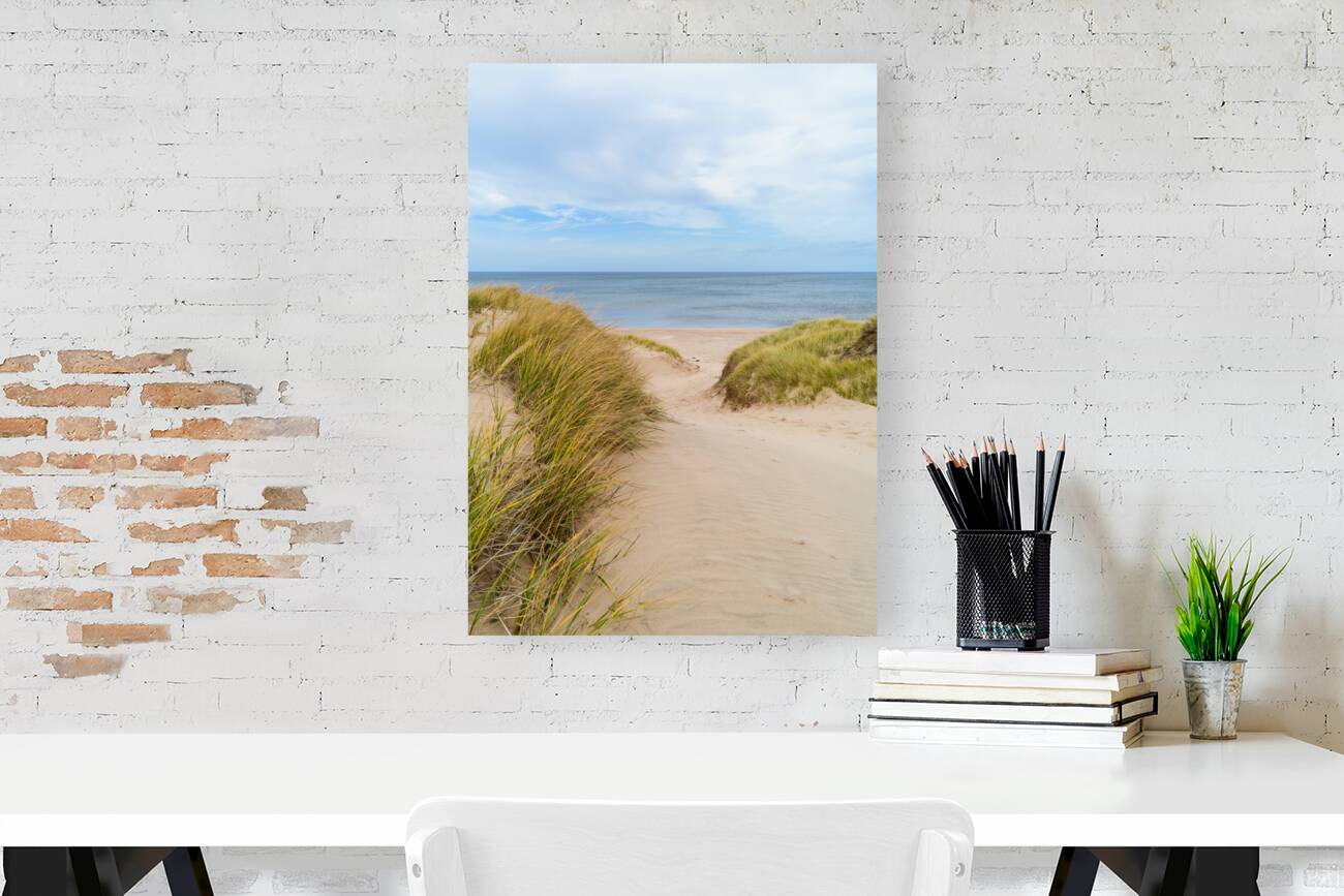 PEI sand dune beach view Reproduction