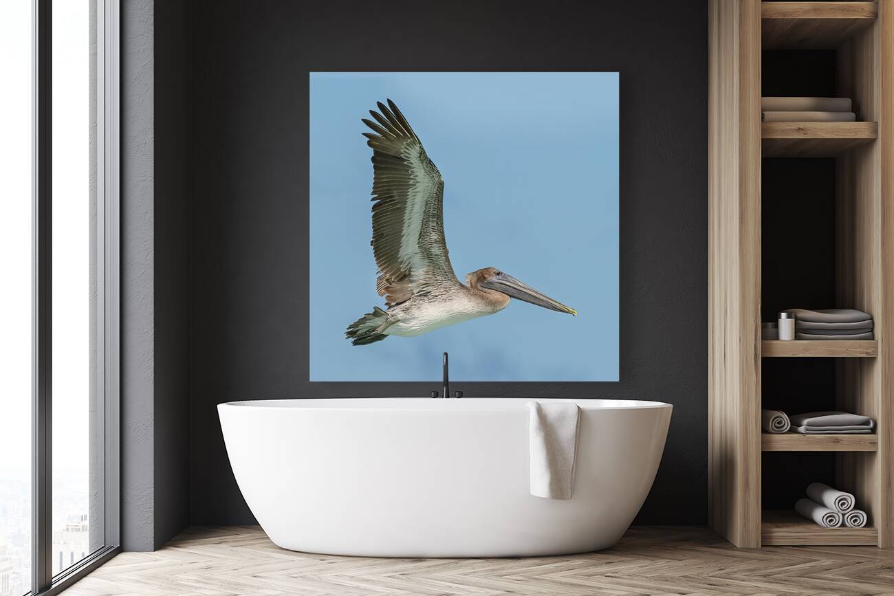 Pelican Cuban 15 Reproduction