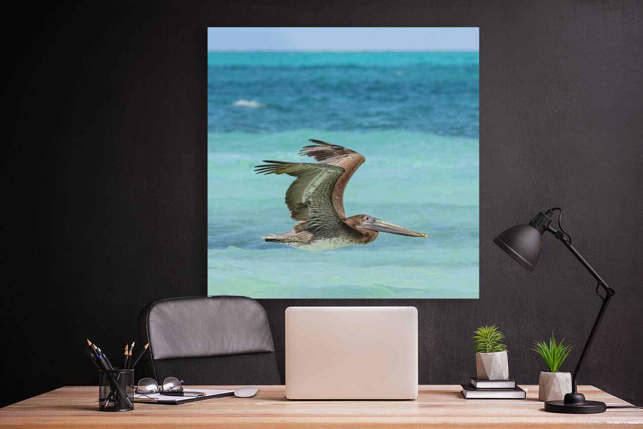 Pelican Cuban 7 Reproduction