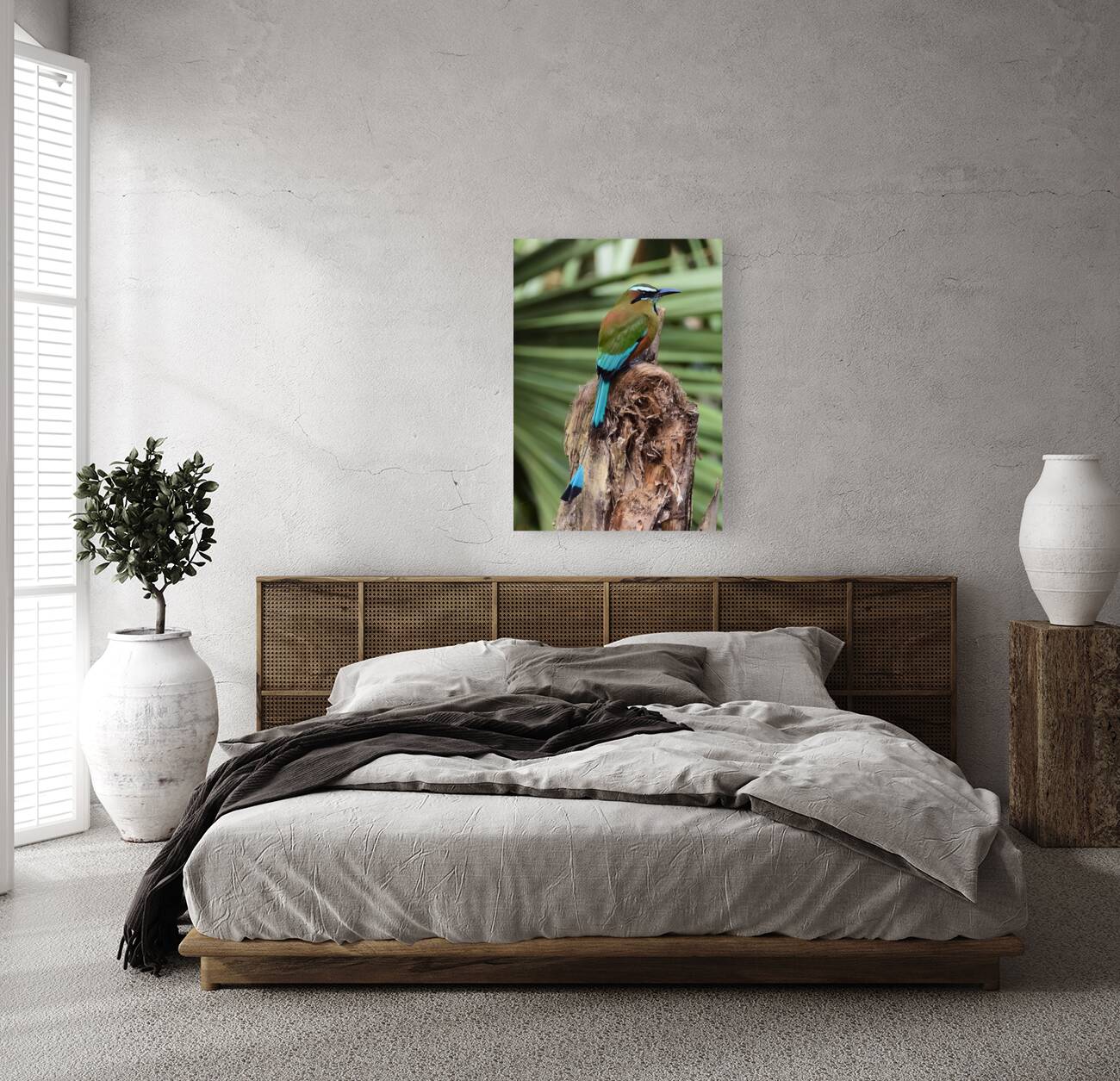 Mot Mot  Clock bird 2 Reproduction